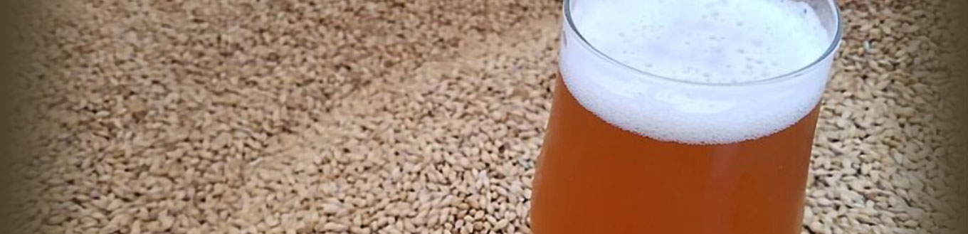 Sinagua Malt's malt and resulting beer